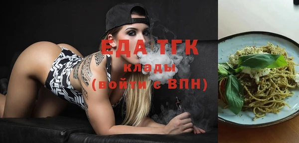 хмурый Абаза