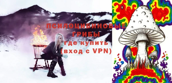 индика Абинск