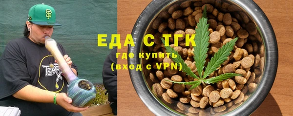 хмурый Абаза