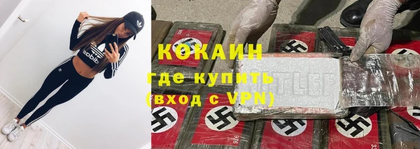 индика Абинск